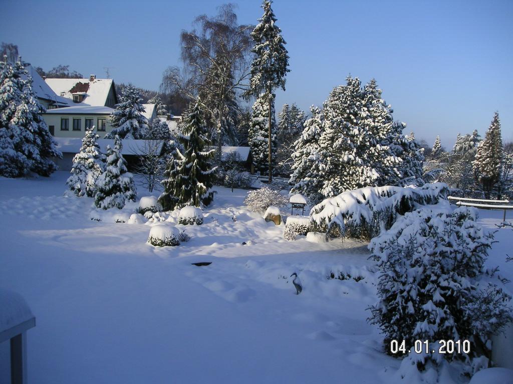 Landhotel Der Buchenhof באד אסן מראה חיצוני תמונה